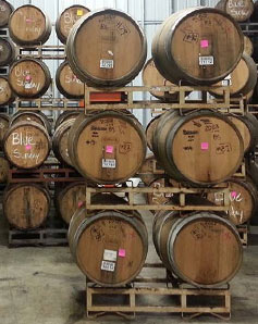 Conference Week Events